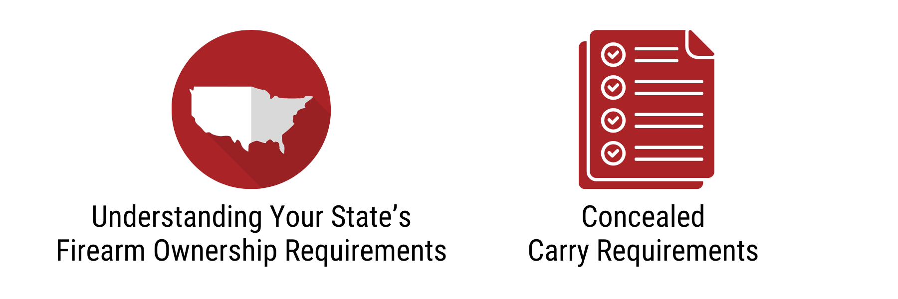 firearm concealed carry requirements