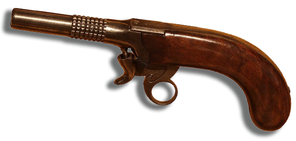 a firearm called a caplock